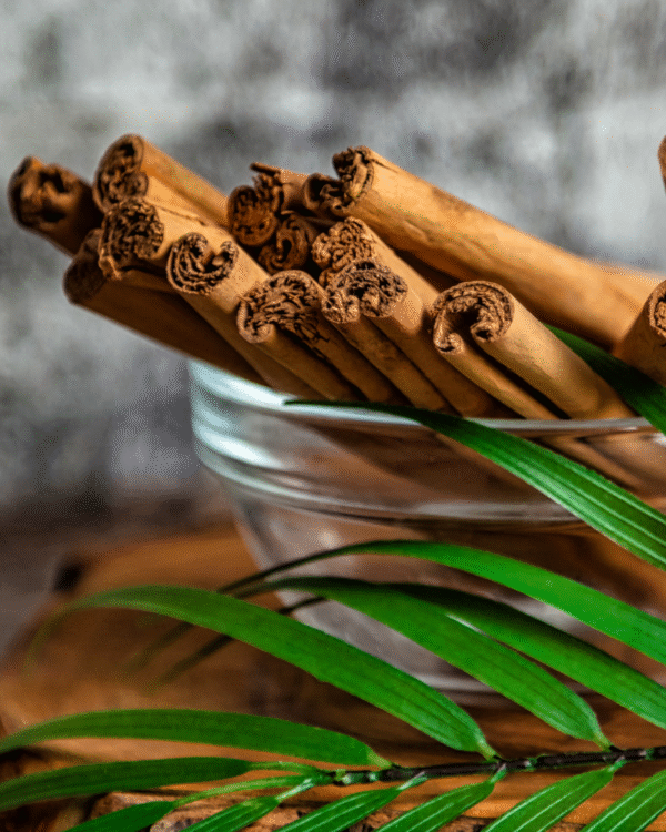 Ceylon Cinnamon alba